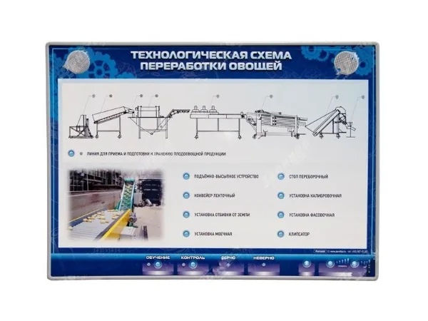 Стенд Зарница схема переработки овощей