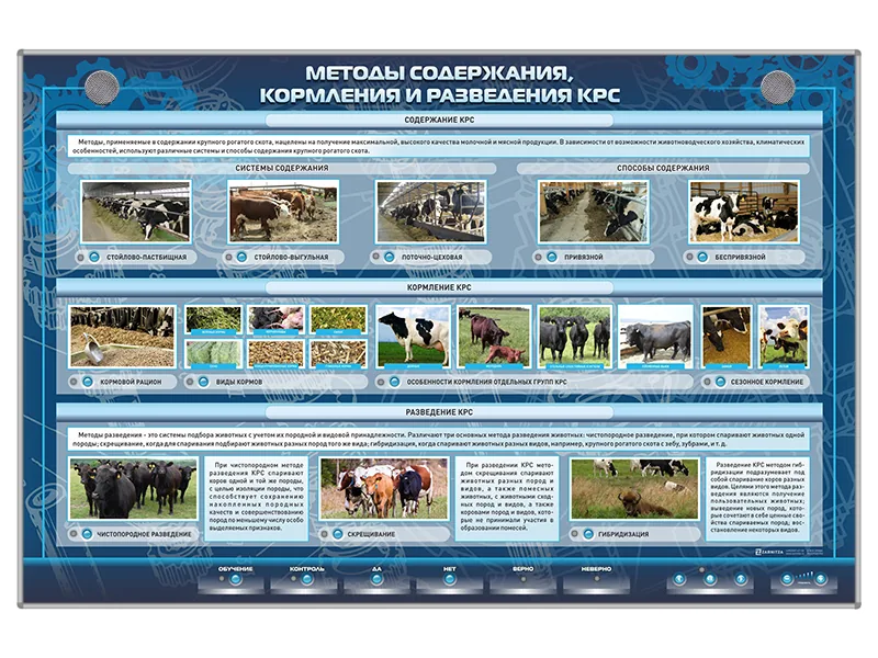 Стенд Зарница методы содержания и разведения КРС