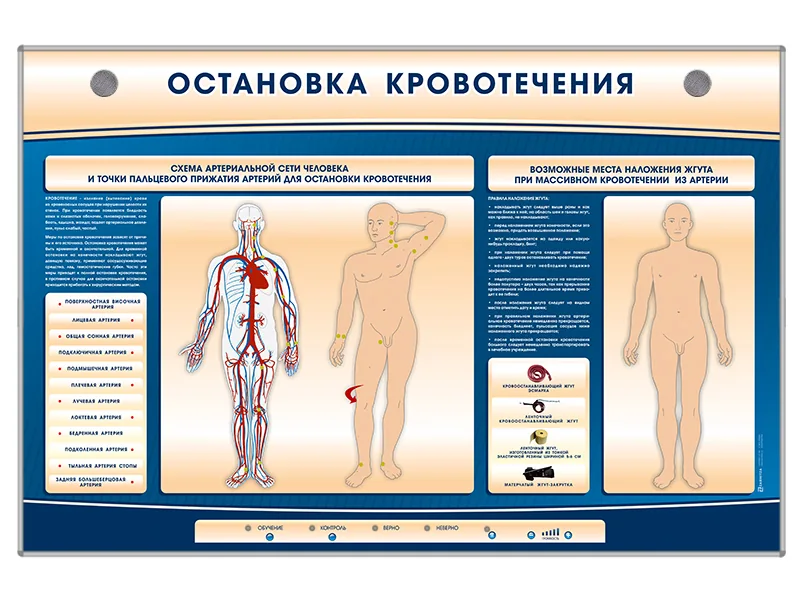 Стенд-тренажер Зарница остановка кровотечения