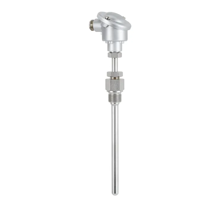 Датчик температуры SIKA W12