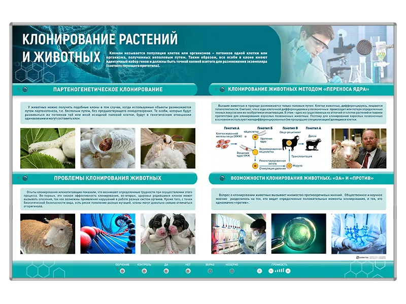 Стенд Зарница клонирование растений и животных