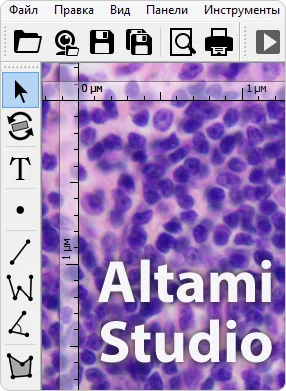 Программное обеспечение Альтами Altami Studio