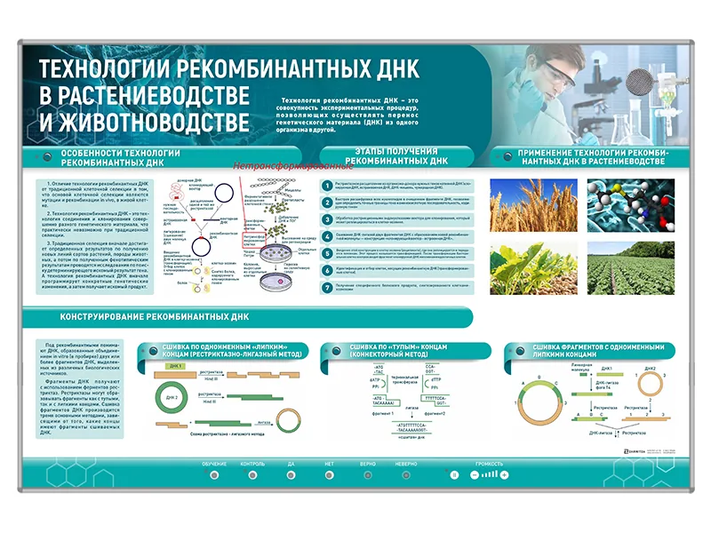 Стенд Зарница технологии рекомбинантных ДНК
