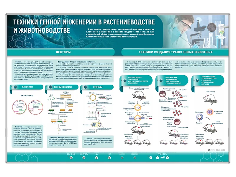 Стенд Зарница техники генной инженерии